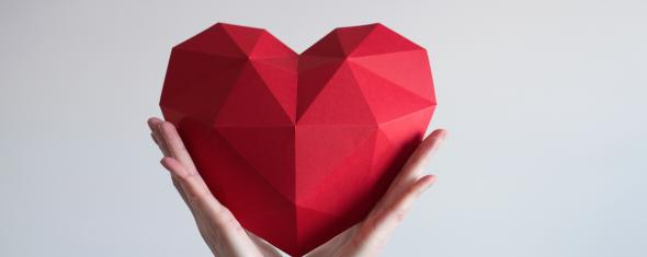 Un prix pour nos recherches sur les maladies cardiovasculaires chez les femmes
