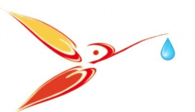 colibri_don
